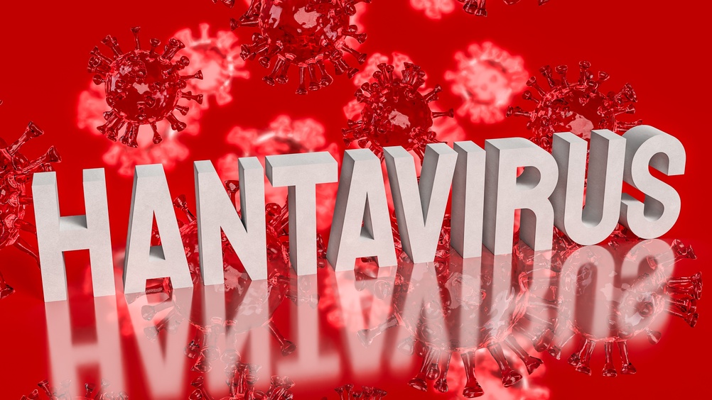Hantavirus 