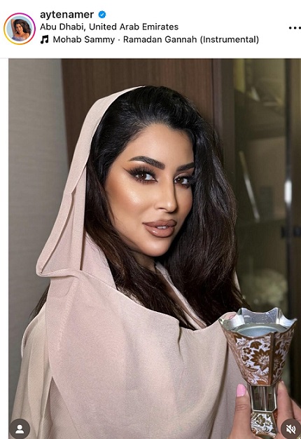 أيتن عامر