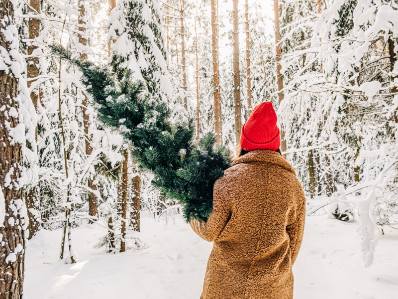 6 نصائح هامة قبل شراء شجرة الكريسماس الجديدة