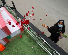 bloodthirsty network