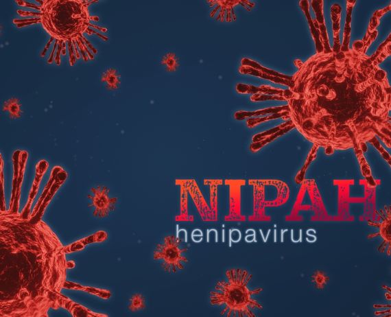 Nipah virus