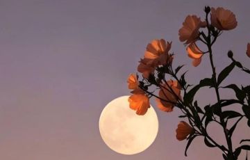 القمر البدر العملاق في برج الثور الترابي لشهر نوفمبر 2025