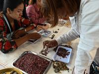 This photo taken on May 17, 2019 shows a buyer inspecting rubies at the gems market in Mogok town, north of Mandalay. Burrowing deep underground, thousands of informal miners risk their lives to find gleaming red gems as a law change spurs opportunity in Myanmar's "land of rubies". Ye Aung THU / AFP