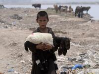 An Afghan refugee boy carries a sheep near his makeshift house in Lahore on June 19, 2019, ahead of World Refugees Day. World Refugee Day is observed June 20 each year internationally to raise awareness of the situation of refugees throughout the world. (ARIF ALI / AFP)