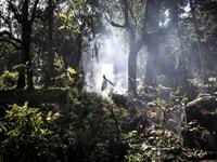 For the last three weeks the FARDC have been fighting in an offensive operation against a militia in the Wago Forest in the Djugu district of Ituria Province. Attacks by this militia and inter-communal fighting between the Lendu and Hema communities have displaced over 300,000 people so far. John WESSELS / AFP 