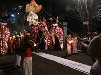In this photograph taken on August 14, 2019 participants lead elephants decorated for the "Esala Perahera" festival during a parade near the Buddhist temple of the Tooth in the ancient hill capital of Kandy, some 116 km from Colombo. Lakruwan WANNIARACHCHI / AFP