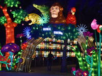 Dubai Garden Glow in Dubai, UAE, as seen on Dec 8, 2016. It is spread across 40 acres, with 32 installations made by 150 artists in ?200,000 man hours.  (Shutterstock/ File Photo)