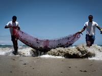 Volunteers are seen removing oil spilled on Paiva beach located in the city of Cabo de Santo Agostinho, Pernambuco state, Brazil, on October 21, 2019. LEO MALAFAIA / AFP