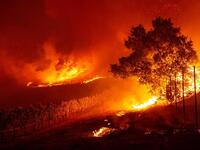 Flames enter a vineyard during the Kincade fire near Geyserville, California. (Photo by Josh Edelson / AFP)