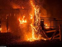 Fire and fury: Flames ravage a farm structure in Windsor where the Kincade Fire was only 15 per cent contained last night and may not be fully under control until the second week of November. (AFP)