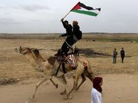 Camel near Palestinian bystanders during a local camel race held at the destroyed Gaza airport in Rafah in the southern Gaza Strip (Twitter)
