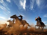 Horse and camel races are spotlighted while lack of sports activity due to embargo in Gaza, Bilal Khaled / Anadolu Agency