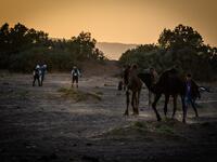 Women take part in the desert trek "Rose Trip Maroc", on November 3, 2019 in the erg Chebbi near Merzouga. The Rose Trip Maroc is a female-oriented trek where teams of three must travel through the southern Moroccan Sahara desert with a compass, a map and a topographical reporter. JEAN-PHILIPPE KSIAZEK / AFP