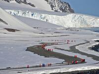 Tourists visit Yankee Harbour in the South Shetland Islands, Antarctica, on November 06, 2019. Johan ORDONEZ / AFP