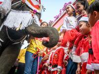 An elephant dressed in a Santa Claus costume presents gifts to schoolchildren during Christmas celebrations in Ayutthaya on December 23, 2019. Wearing red and white hats and a string of bells, Thai elephants passed out Christmas gifts to hundreds of schoolchildren on Monday despite growing criticism over using the animals in performances. The annual festive event is organised by a nearby elephant park, whose mahouts or handlers started in the early morning dressing the animals. Thailand is largely Buddhist 