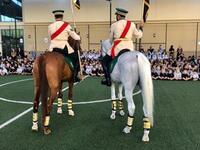 UAE's 48th National Day celebrations. (Twitter)