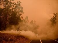 Firefighters tackle a bushfire in thick smoke in the town of Moruya, south of Batemans Bay, in New South Wales on January 4, 2020. Up to 3,000 military reservists were called up to tackle Australia's relentless bushfire crisis on January 4, as tens of thousands of residents fled their homes amid catastrophic conditions. PETER PARKS / AFP