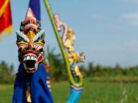 decoration of kart in bali during buffalo race festival.  (Shutterstock)