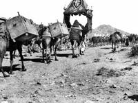 وفي سنة 390 هجرية انقطع الحاج المصري في عهد العزيز بالله الفاطمي لشدة الغلاء، وفي سنة 419 هجرية لم يحج أحد من أهل المشرق ولا من أهل مصر، وفي سنة 421 هجرية تعطل الحج أيضًا سوى بعض من أهل العراق ركبوا من جمال البادية من الأعراب ففازوا بالحج، وفي سنة 430 لم يحج أحدٌ من العراق وخراسان، ولا من أهل الشام ولا مصر.