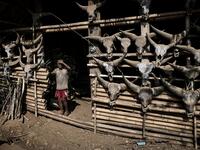 This photo taken on February 5, 2020 shows a Naga tribesman standing in front of his house decorated with skeletons of buffalo heads in Lahel township in Sagaing region of Myanmar, wedged in a semi-autonomous zone near the Indian border. People in the region subscribe to a complex patchwork of customs, intertwining their animist beliefs with warrior traditions that include striking tattoo designs, which can signify tribal identity, life accomplishments or the completion of a rite of passage. Ye Aung THU / A