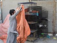 Abandoned when Pakistan's largest cities went into lockdown, hundreds of caged cats, dogs and rabbits have been found dead inside pet markets hurriedly shuttered as the coronavirus spread. Animals still alive in the corner of Karachi's sprawling Empress Market where pets are sold were rescued only after activists appealed to the authorities for access. Asif HASSAN / AFP