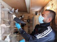 A pigeon owner, wearing personal protective equipment, poses with a pigeon on the rooftop of his building in the southern suburb of Beirut on April 11, 2020. ANWAR AMRO / AFP