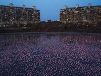Sea of Pink can be seen behind NRI complex at Navi Mumbai (Twitter)