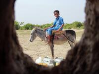A Yemeni youth riding a donkey waits to fill jerrycans with water from a cistern at a make-shift camp for the internally displaced, in the northern Hajjah province, on June 7, 2020, amid a severe shortage of water. ESSA AHMED / AFP