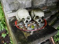 This picture taken on February 20, 2020 shows skulls on display with offerings at a cemetery where Bali's Trunyanese people hold open-air burials - before restrictions were implemented due to the COVID-19 coronavirus - near the village of Trunyan in Bangli Regency, near Lake Batur on Bali island. For centuries Bali's Trunyanese people have left their dead to decompose in the open air, the bodies placed in bamboo cages until only the skeletons remain -- a ritual they haven't given up -- even as the COVID-19 