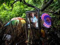 This picture taken on February 20, 2020 shows a photo of one of the deceased next to bamboo cages which cover bodies at a cemetery where Bali's Trunyanese people hold open-air burials - before restrictions were implemented due to the COVID-19 coronavirus - near the village of Trunyan in Bangli Regency, near Lake Batur on Bali island. SONNY TUMBELAKA / AFP