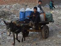 Children of Afghan refugees ride on a donkey cart at a slum area in Lahore on June 19, 2020, ahead of the World Refugees Day. Arif ALI / AFP