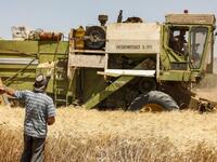 A farmer speaks with another riding in a combine harvester in a wheat field in the countryside of al-Kaswa, south of Syria's capital Damascus, on June 18, 2020. Heavy rain and reduced violence provided a relief to Syrian farmers with a good harvest this year, as a tanking economy leaves millions hungry across his war-torn country. Prior to the outbreak of the conflict in 2011, Syria produced more than 4.1 million tonnes of wheat, enough to feed its entire population. But production plunged to record lows du