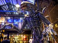 This photograph taken on July 18, 2020 shows tourists looking at a life-sized sculpture of a character from the "Alien" film series made of scrap metal parts at the Ban Hun Lek museum in Ang Thong, some 100km north of Bangkok. "Ban Hun Lek" or "The House of Steel Robots" is a museum where a collective of artists display their scrap metal creations depicting popular comics and sci-fi film characters. Mladen ANTONOV / AFP