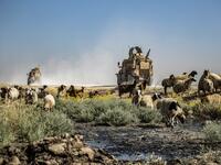 US military vehicle pass by sheep grazing and drinking from a stream polluted by an oil spill near the village of Sukayriyah, in the countryside south of Rumaylan (Rmeilan) in Syria's Kurdish-controlled northeastern Hasakeh province, on July 19, 2020. DELIL SOULEIMAN / AFP