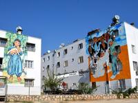 Nazife Bilgin Hazar, a housewife-turned-muralist, was encouraged by her family to pursue an art degree ten years ago. (Twitter/ @serkanakkoyun_)