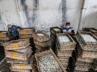Workers stand by baskets filled with harvested jasmine flowers at a warehouse in the village of Shubra Beloula in Egypt's northern Nile delta province of Gharbiya on July 23, 2020. Mohamed el-Shahed / AFP