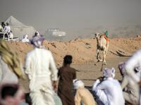 Bedouins watch a camel race in Egypt's South Sinai desert on September 12, 2020, after more than six month of hiatus due to the coronavirus outbreak. Camel racing is a traditional sport in many Arab countries, most notably in the Gulf region, and in Egypt, bedouins of the South Sinai desert have kept up the tradition. But race events have been suspended since March following the COVID-19 outbreak, and orders only came down at the beginning of the month that they could resume this weekend. Khaled DESOUKI / A