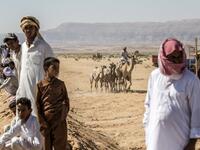 Bedouins watch a camel race in Egypt's South Sinai desert on September 12, 2020, after more than six month of hiatus due to the coronavirus outbreak. KHALED DESOUKI / AFP