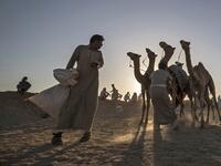 But race events have been suspended since March following the COVID-19 outbreak, and orders only came down at the beginning of the month that they could resume this weekend. Khaled DESOUKI / AFP
