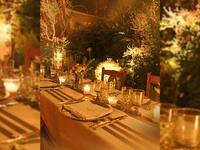 Carla Haddad's Intimate Wedding