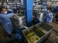 Freshly pressed olive oil pours into a container at a factory in Khan Yunis, in the southern Gaza Strip on October 4, 2020. SAID KHATIB / AFP