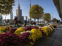 Flower vendors sell Chrysanthemums in the center of Warsaw, Poland on November 1, 2020, while the polish government closed cemeteries due to COVID-19 restrictions two days before the All Saints' Day, preventing Poles from visiting their loved ones graves according to tradition. The Polish government announced on October 30, 2020 the closure of cemeteries for three days, around All Saints' Day, to curb the outbreak of new contaminations in the country. Wojtek RADWANSKI / AFP