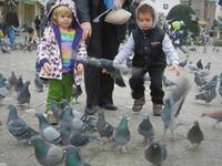 Children are feeding pigeons in the city center of  Timișoara, Romania/Photo by Ewelina Lepionko