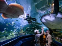 Visitors take photos as a diver wearing a Santa Claus outfit, as part of Christmas celebrations, feeds fish inside a tank at the Aquaria KLCC in Kuala Lumpur on December 23, 2020. Mohd RASFAN / AFP