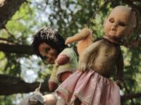 A few miles from the heart of Mexico City lies La Isla de las Muñecas, the Island of Dolls, where thousands of dolls hang from the trees. (Wikipedia)