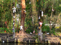 A few miles from the heart of Mexico City lies La Isla de las Muñecas, the Island of Dolls, where thousands of dolls hang from the trees. (Shutterstock)