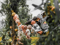 Creepy old dolls in the abandoned Island of the Dolls, Xochimilco, southern Mexico City. (Shutterstock)