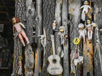 Creepy old dolls in the abandoned Island of the Dolls, Xochimilco, southern Mexico City (Shutterstock)