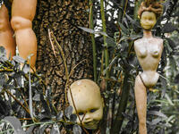 Creepy old dolls in the abandoned Island of the Dolls, Xochimilco, southern Mexico City. (Shutterstock)