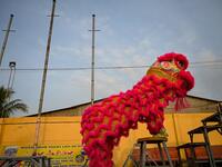 This photograph taken on January 20, 2021 shows Le Yen Quyen performing as part of a lion dance during a practice session at the Tu Anh Duong lion and dragon dance school in Can Tho city in southern Vietnam's Mekong Delta. Manan VATSYAYANA / AFP